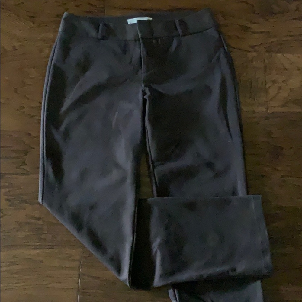 Michael Kors pant